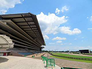 東京競馬場