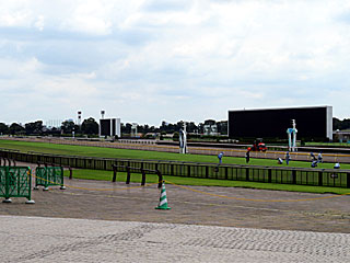 東京競馬場