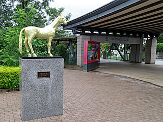 東京競馬場