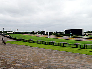 東京競馬場