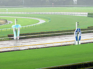 東京競馬場