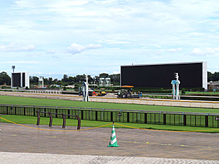 東京競馬場