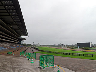 東京競馬場