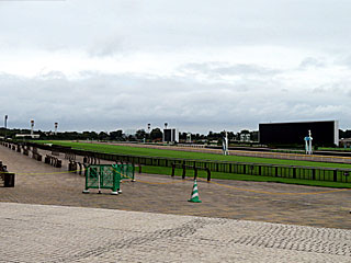 東京競馬場