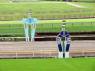 東京競馬場