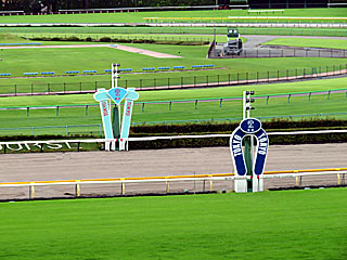 東京競馬場