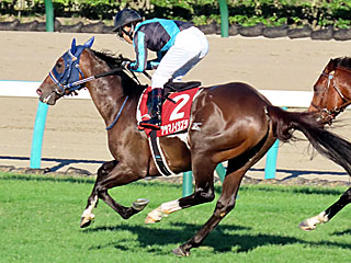 アサマノイタズラ(セントライト記念)