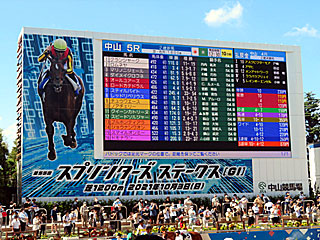 中山競馬場オッズ板