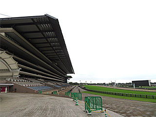 東京競馬場