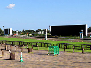 東京競馬場