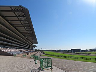 東京競馬場