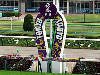 2021年第4回東京競馬