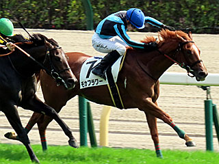 モカフラワー（2歳新馬）