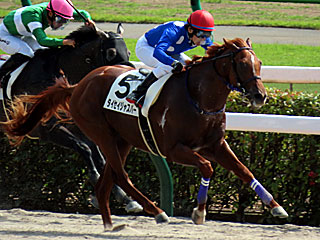 タイセイジャスパー（2歳新馬）