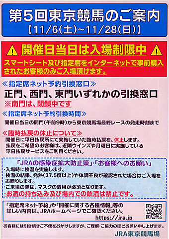 オーロカップ 21年11月14日の競馬日記 東京競馬場どっとこむ