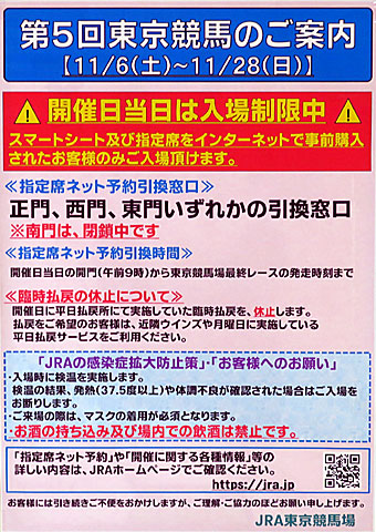 オーロカップ 21年11月14日の競馬日記 東京競馬場どっとこむ オーロカップ 21年11月14日の競馬日記 東京競馬場どっとこむ