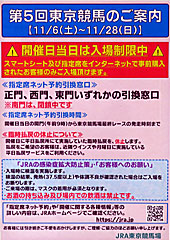 第5回東京競馬のご案内