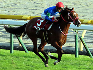 キングエルメス(京王杯2歳ステークス)