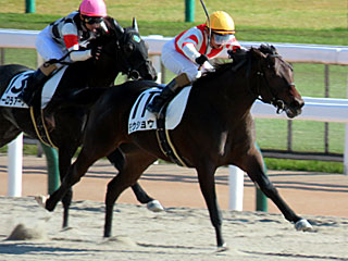 モウショウ(2歳新馬)