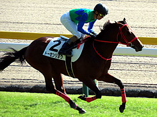 トーセンリョウ(2歳新馬)