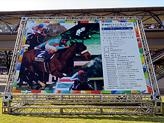 ジャパンカップガーデン＠東京競馬場