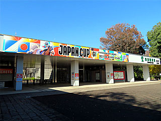 ジャパンカップ公開調教中止