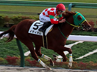 イディオム（3歳上2勝クラス）