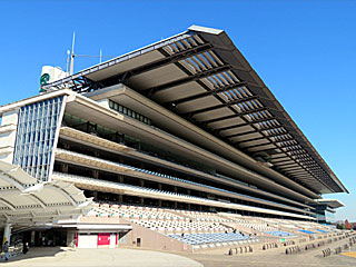 東京競馬場