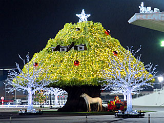 大井競馬場