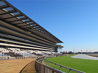 東京競馬場