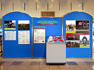 JRA競馬博物館 | 第41回ジャパンカップ優勝馬展
