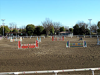 乗馬センター＠東京競馬場