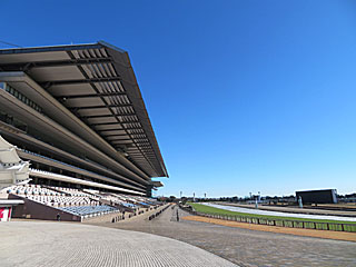 東京競馬場