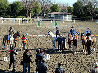 RRC引退競走馬杯ファイナル大会2021馬場馬術＠東京競馬場