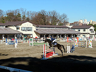 RRC引退競走馬杯ファイナル大会2021障害馬術＠東京競馬場