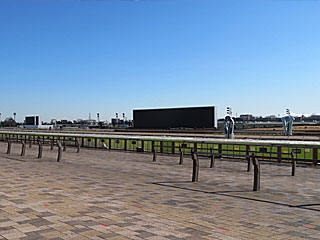 東京競馬場