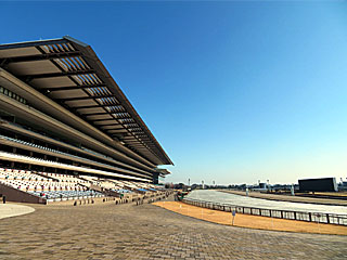 東京競馬場