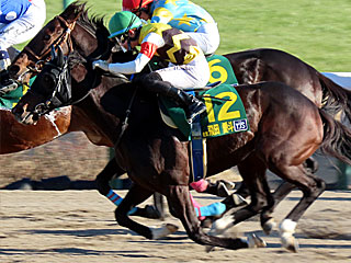 マーキュリーセブン(ヤングジョッキーズシリーズファイナルラウンド中山第2戦)