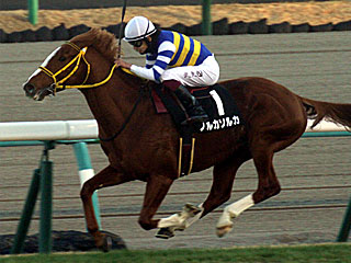 ノルカソルカ(立志ステークス)