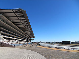 東京競馬場