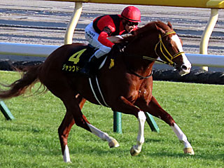 ジャックドール(白富士ステークス)