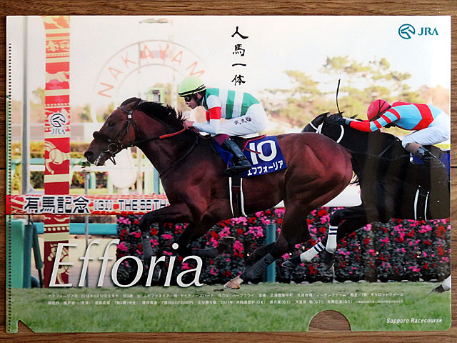 好きに 【専用】競馬 タマモヒビキ 札幌記念 JRA50周年ロゴ入り実使用