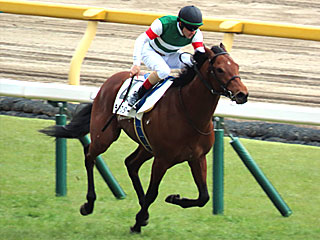 ライラスター（3歳未勝利）