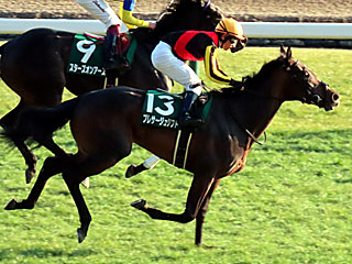 プレサージュリフト(クイーンカップ)