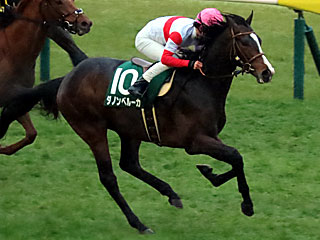 ダノンベルーガ(共同通信杯)