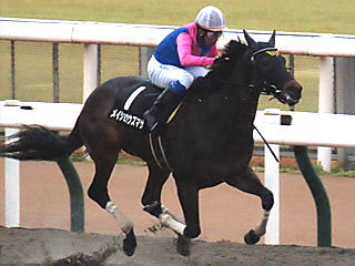 メイショウウズマサ(バレンタインステークス)