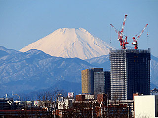 富士山＠東京競馬場