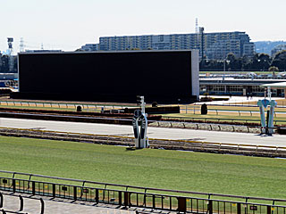 東京競馬場