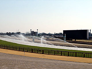 東京競馬場