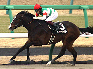 バーデンヴァイラー(総武ステークス)